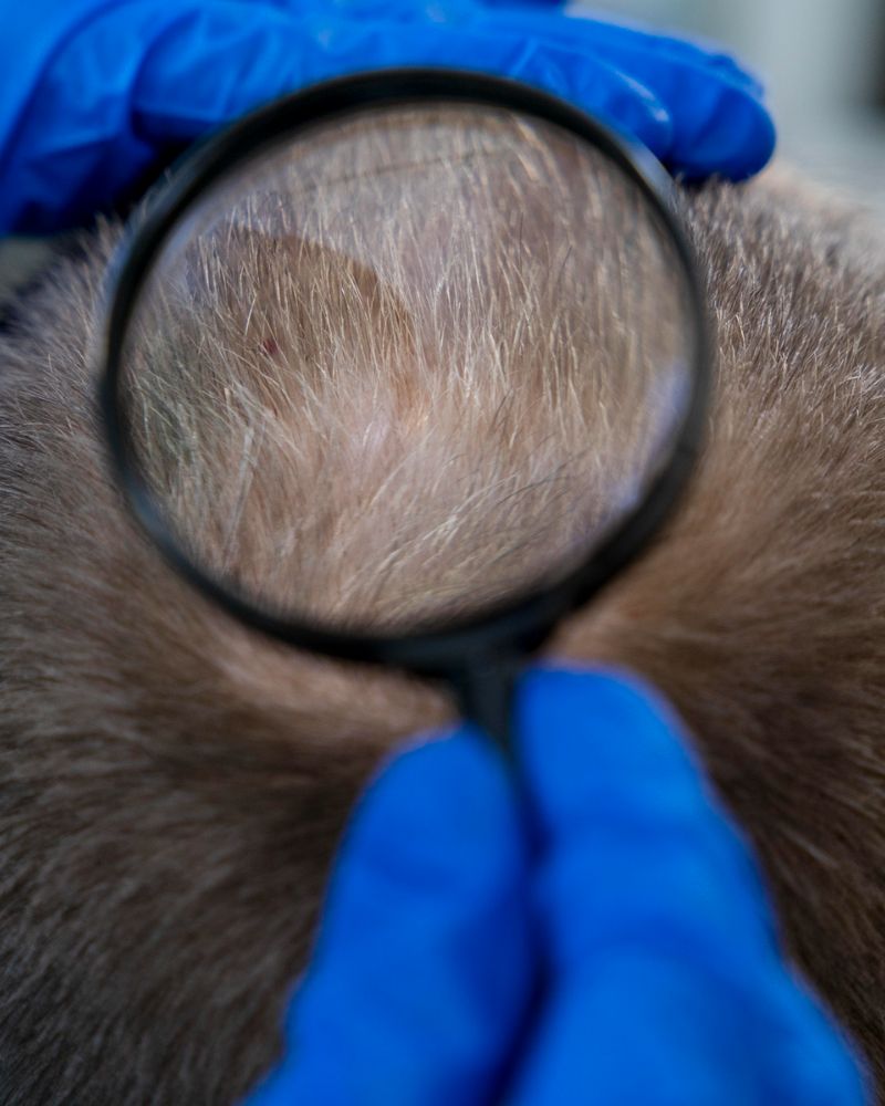 Male Pattern Hair Loss/AGA